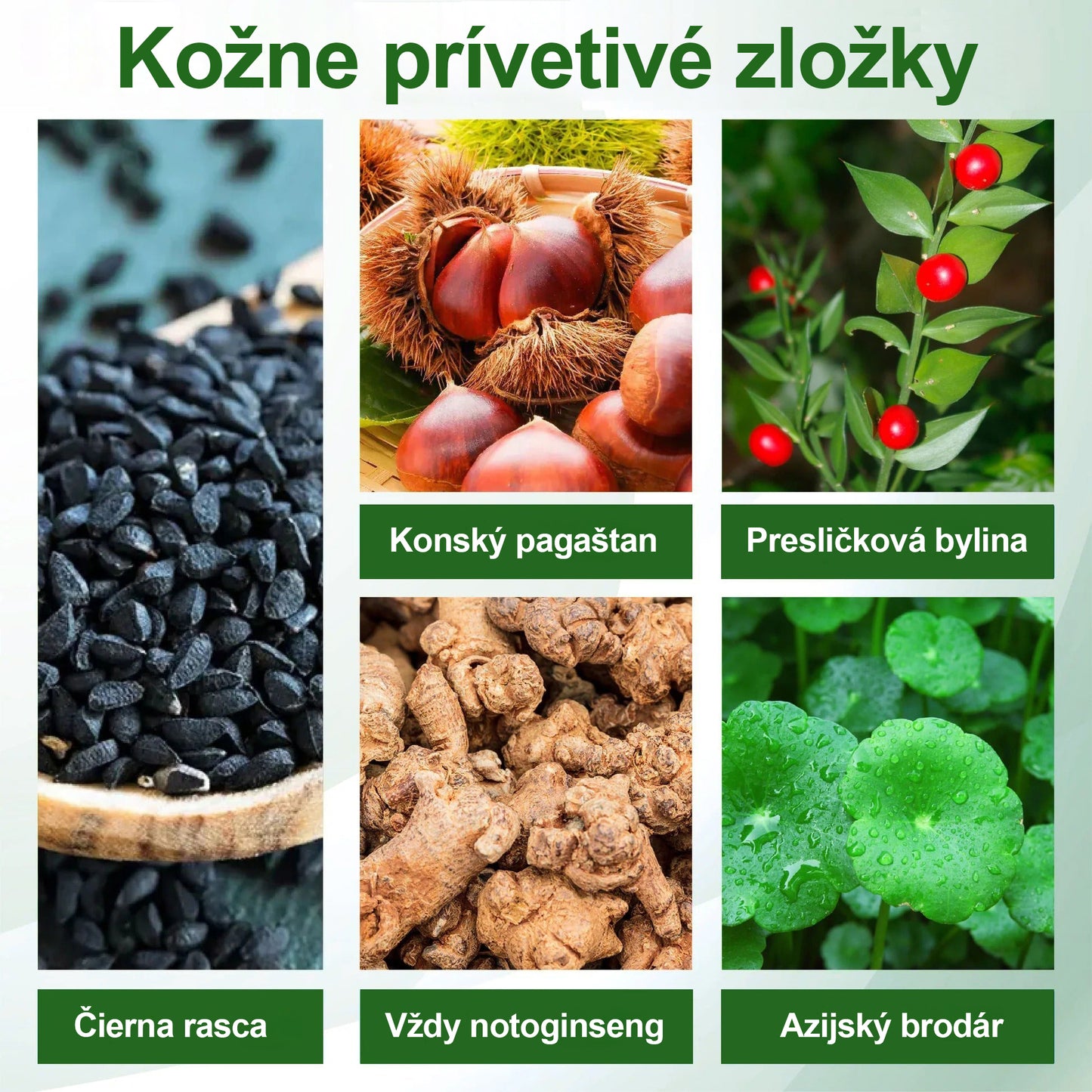 🌿🌿🌿Dorina® Bylinný krém na zmiernenie opuchov s čiernou rascou.
